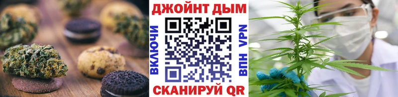 Купить закладки  Гусиноозёрск  Canna-Cookies конопля 
