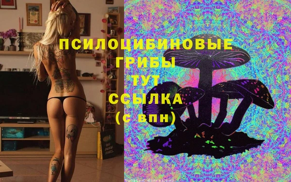 не бодяженный Инта