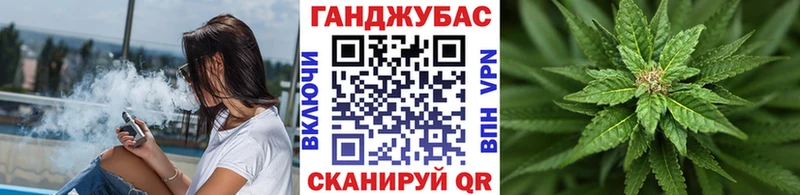 Конопля гибрид  Купить где  Гусиноозёрск 